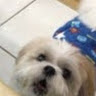 user_2308589481