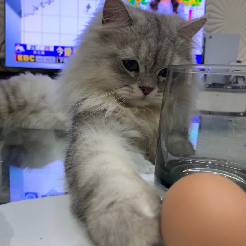 妏