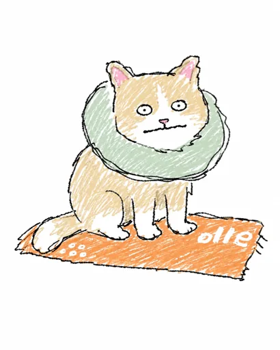 ( ᐙ )？