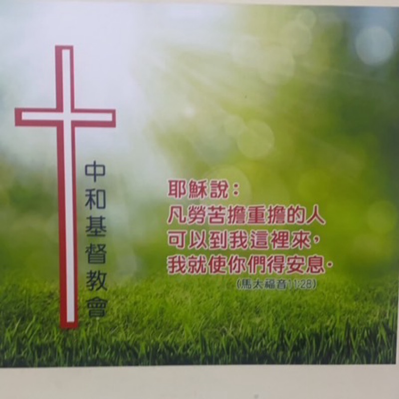 許凱莉
