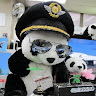 PANDA TANG
