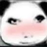 黑貴賓