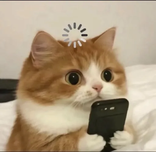user_408001820