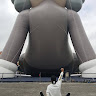 陳彥廷