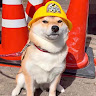 User_372165523