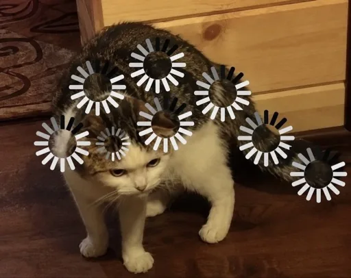 PinGa