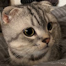小老闆