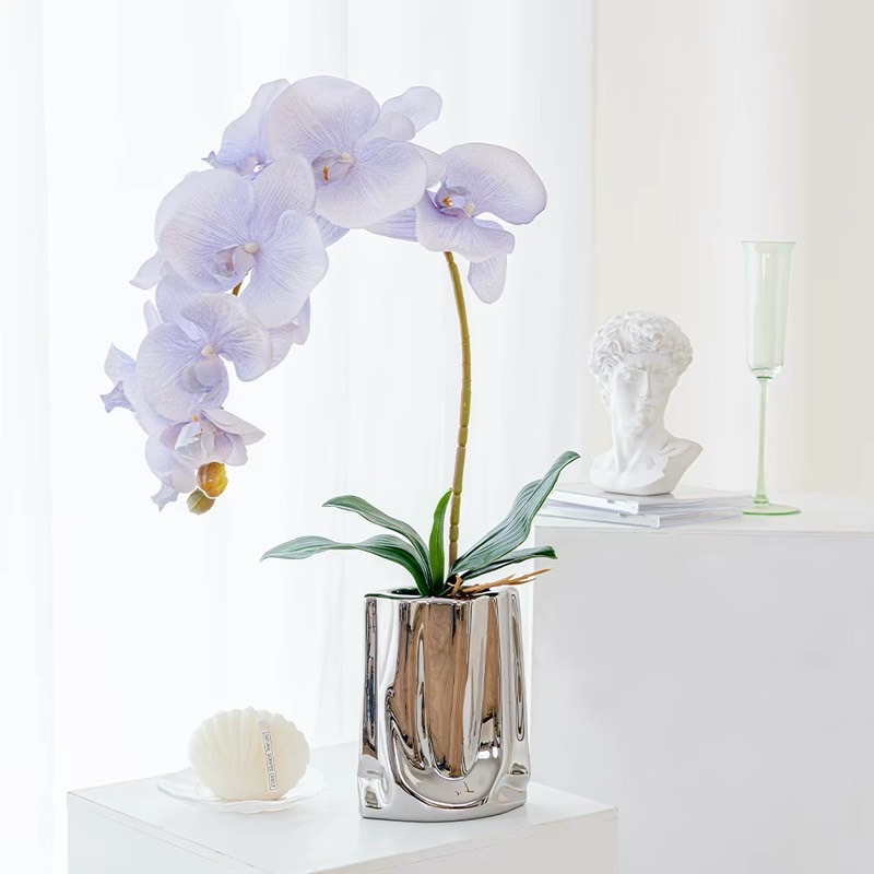 芬