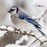 User_3079497061