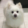 徐小花