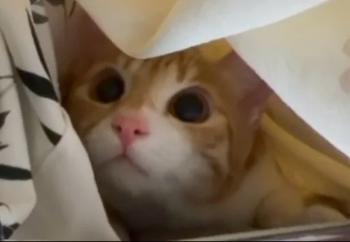 you