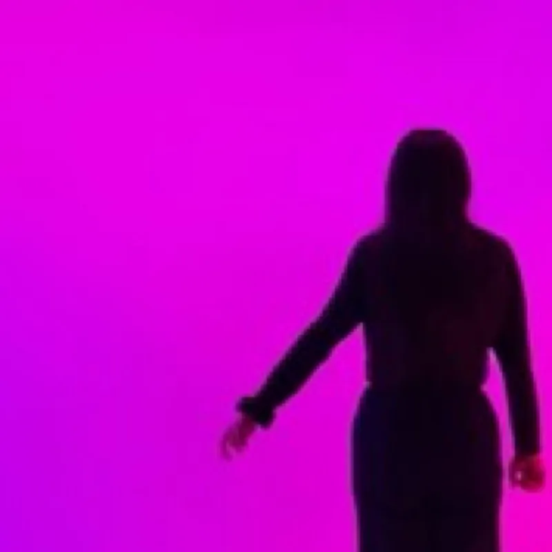 LuLu