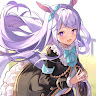 u11 N