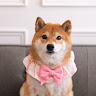 User_2566099739