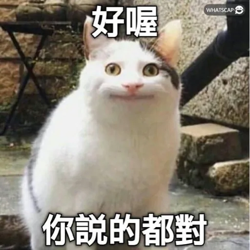 天天進財