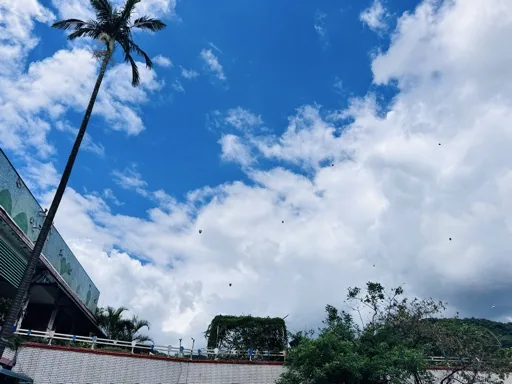 韭