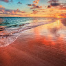 Lily Liu