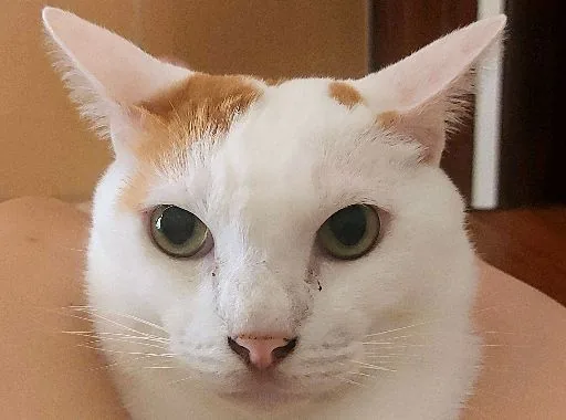 user_3983100749