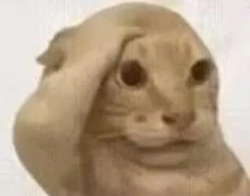 噴噴