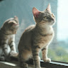 User_1160787025