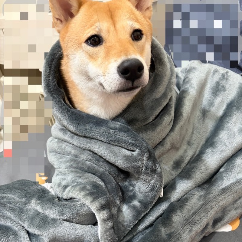 隴均