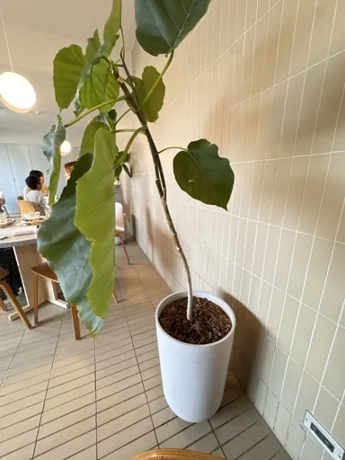 宜陵
