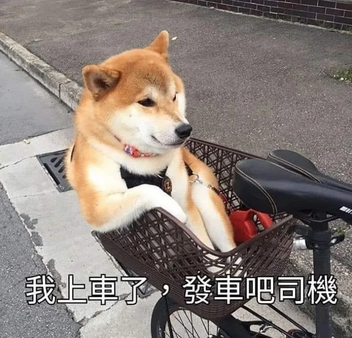秋
