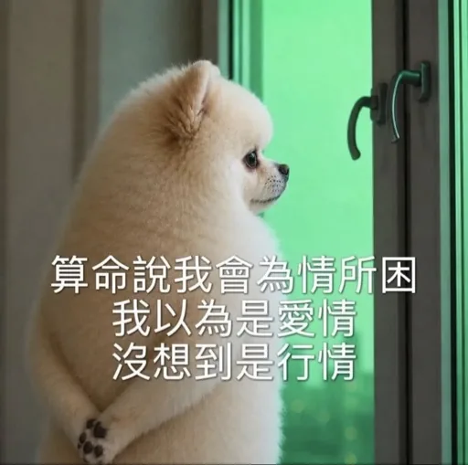 牛逼