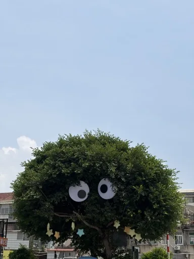 TT