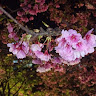 User_3681897571