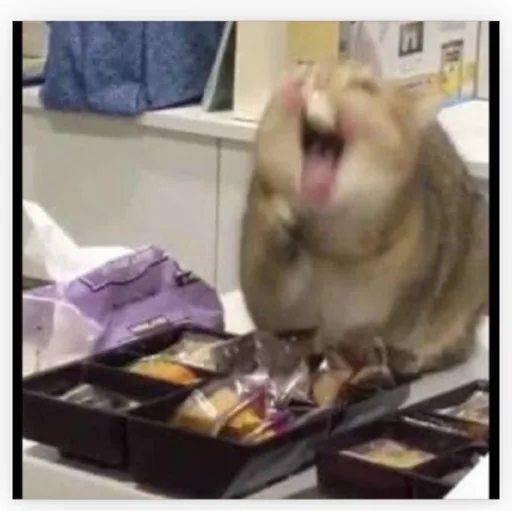YM 郭