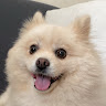 Huang