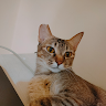 User_1089686639