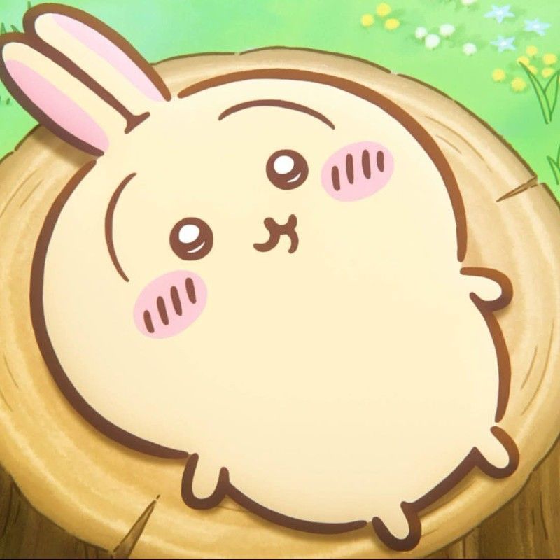 User_2648986981