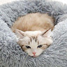 尼