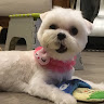 EricHuang