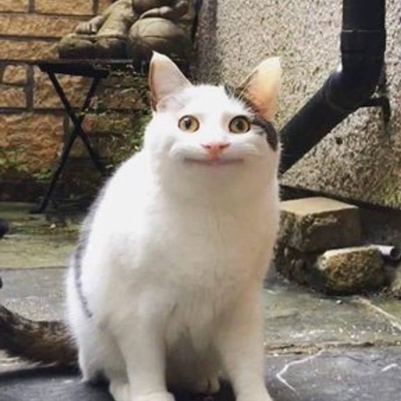 User_828384449