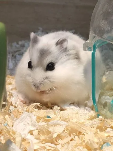 許峻豪