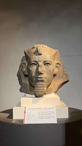 張彥菖 Wayne