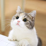 User_2686896259