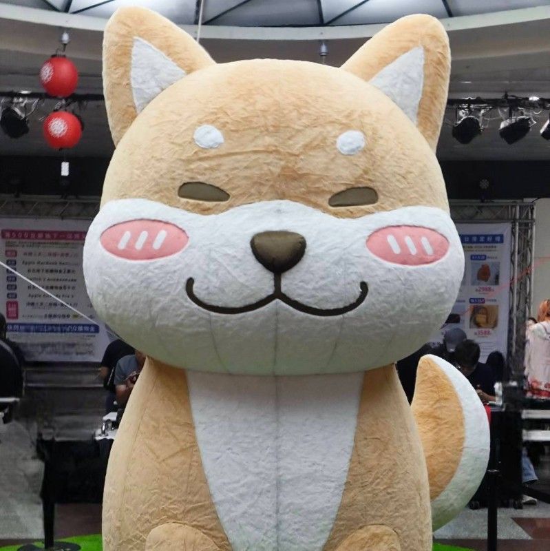 阿清