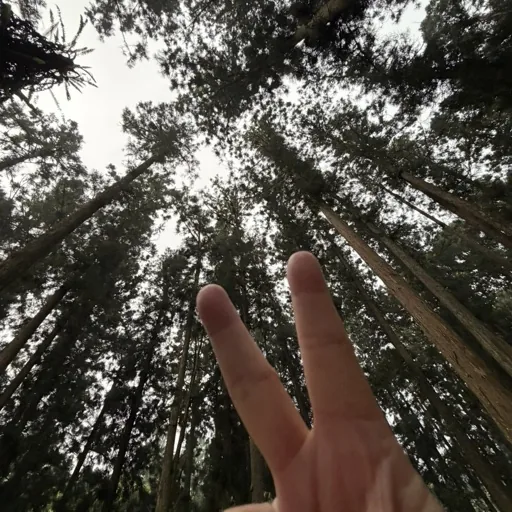Yeh