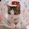 user_2876345327