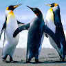User_1934298018
