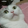 User_820468024