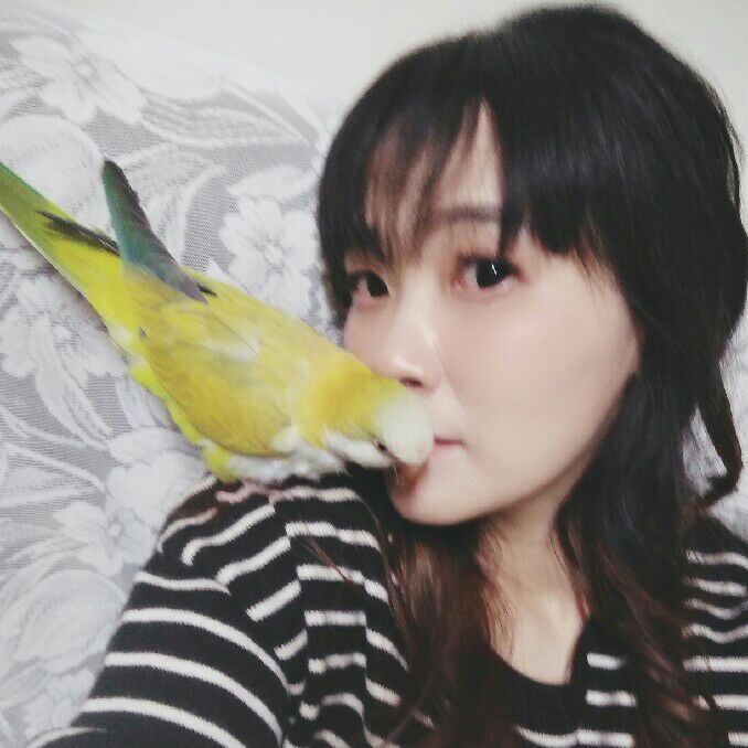 燕子