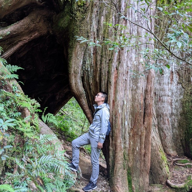 Joseph Tsai