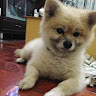 User_1032142190