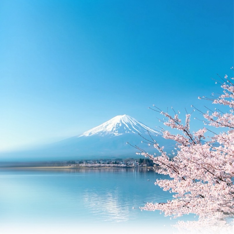 User_881044268