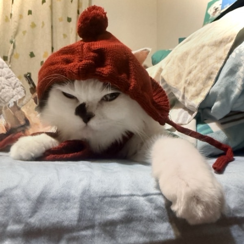 user_2794990892